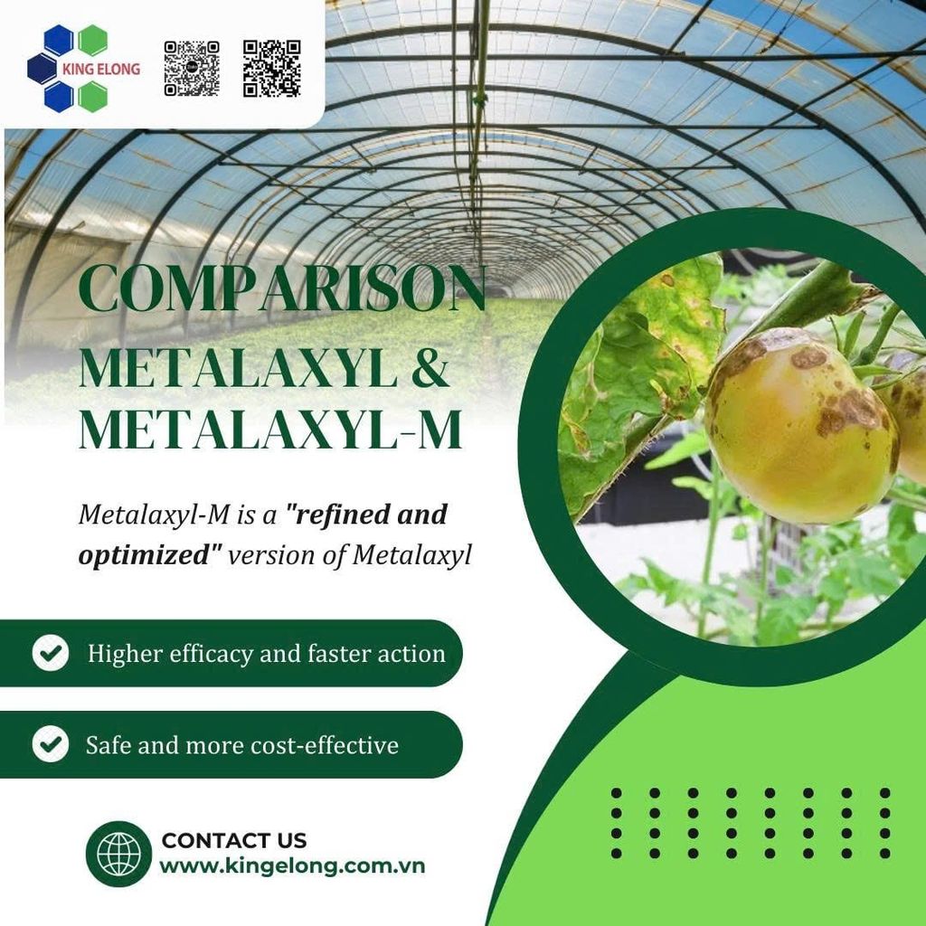 Metalaxyl vs. Metalaxyl-M – What’s The Difference?
