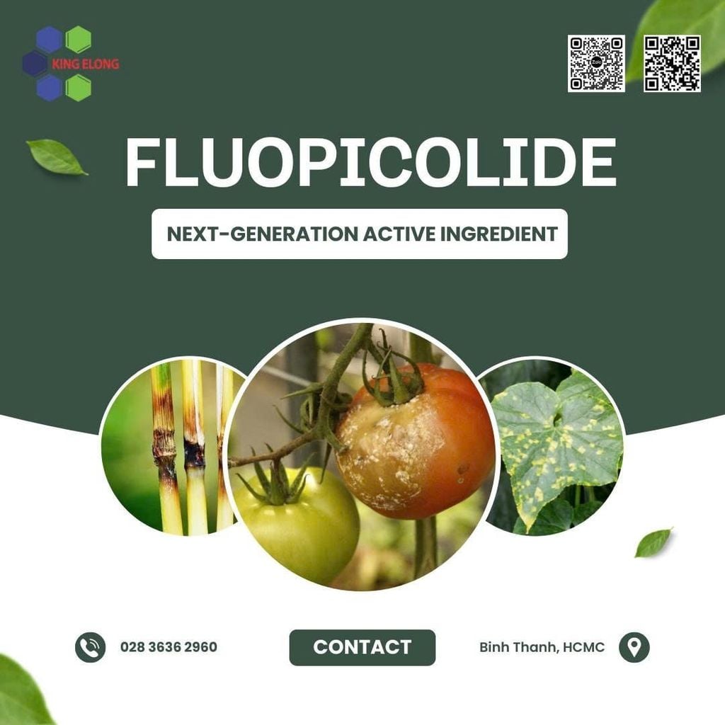 Why Is Fluopicolide Considered A Next-Generation Active Ingredient?
