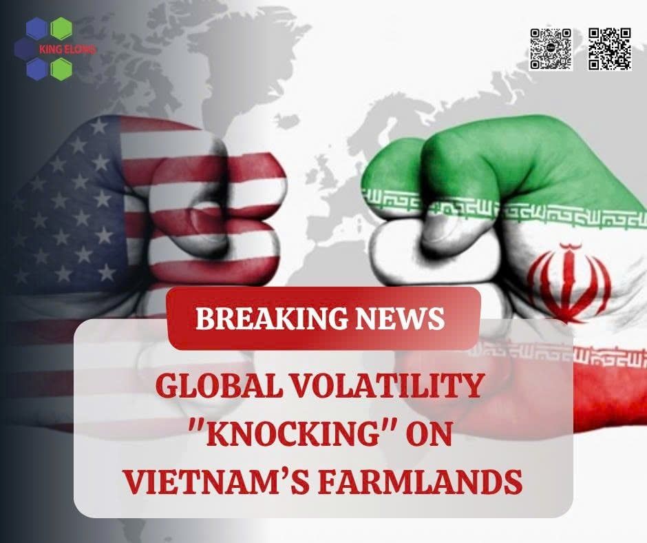 Market Insight: Global Volatility 