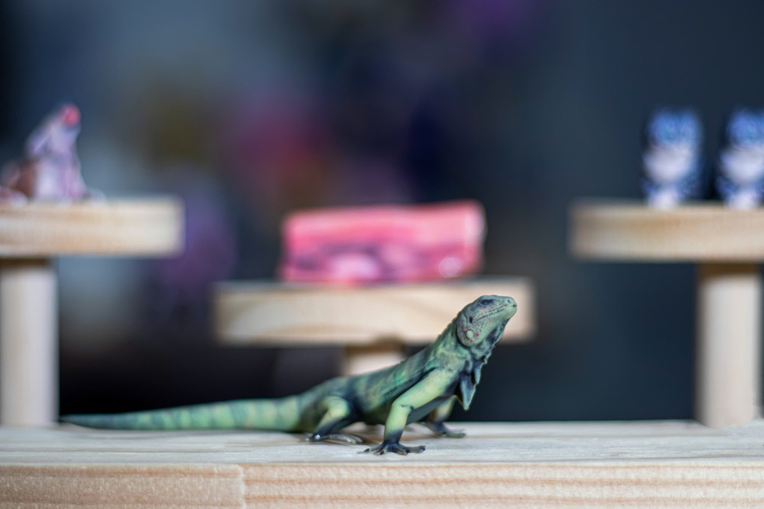 Máy in 3D màu Mini Fullbody 10 triệu màu