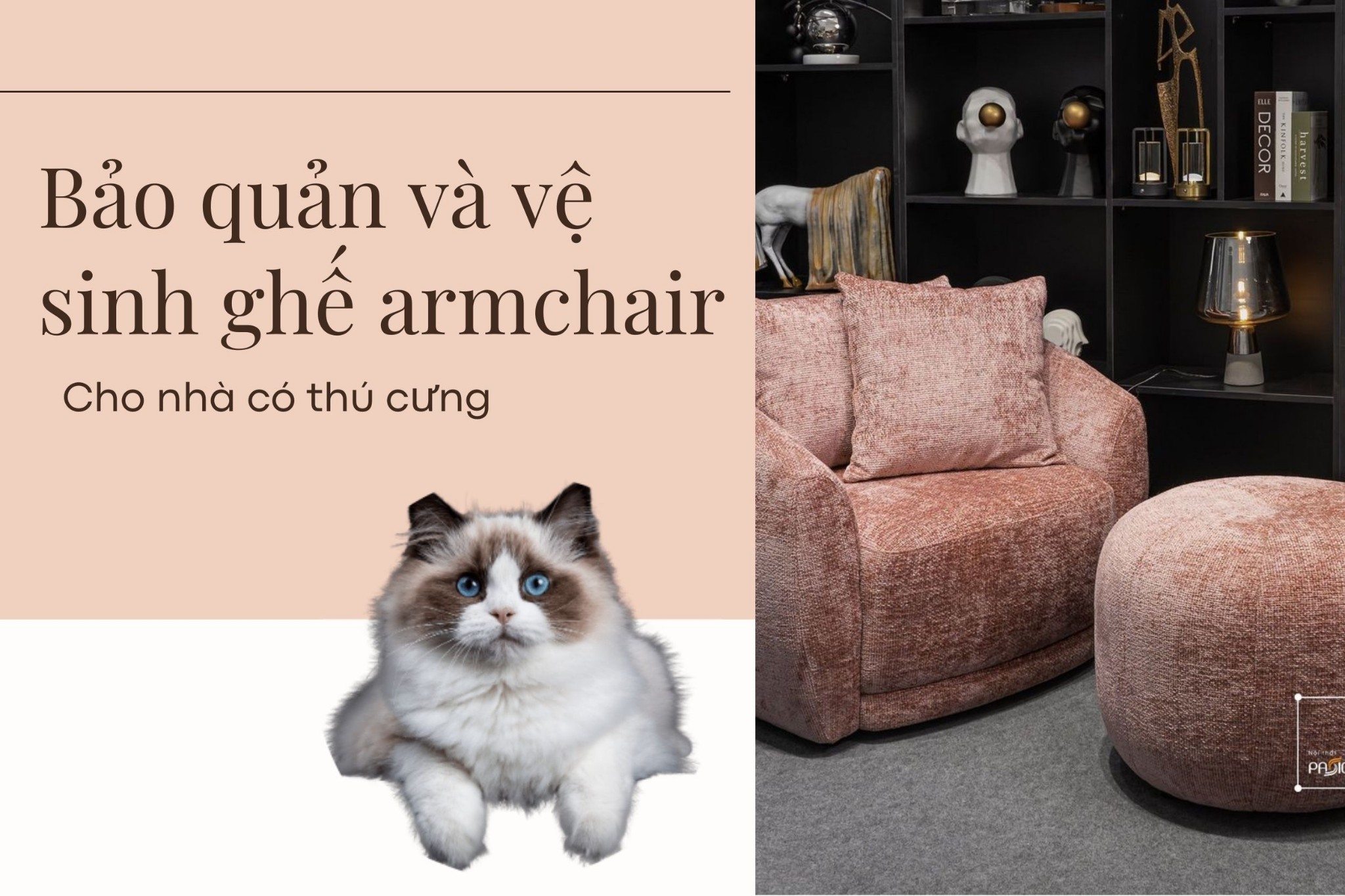 Bảo quản và vệ sinh ghế armchair cho nhà có thú cưng