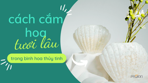 Cách Cắm Hoa Trong Bình Thủy Tinh Đẹp, Giữ Hoa Tươi Lâu