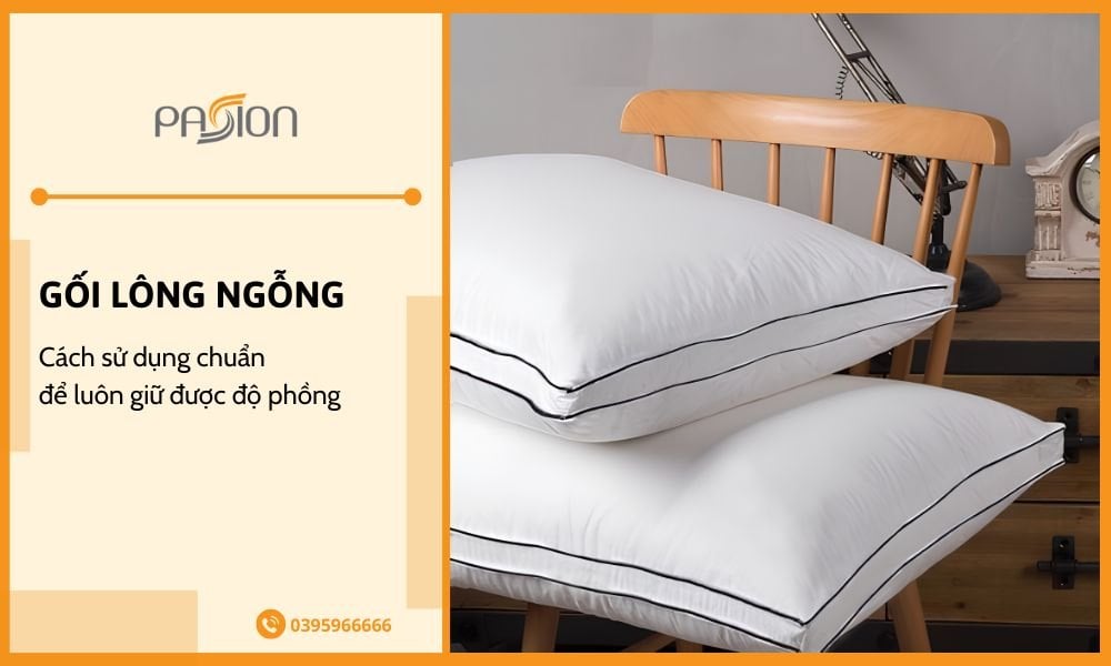 Cách sử dụng gối lông ngỗng chuẩn để luôn giữ được độ phồng