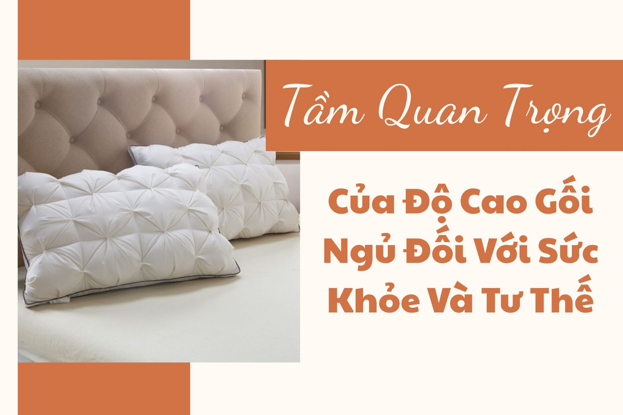Tầm Quan Trọng Của Độ Cao Gối Ngủ Đối Với Sức Khỏe Và Tư Thế