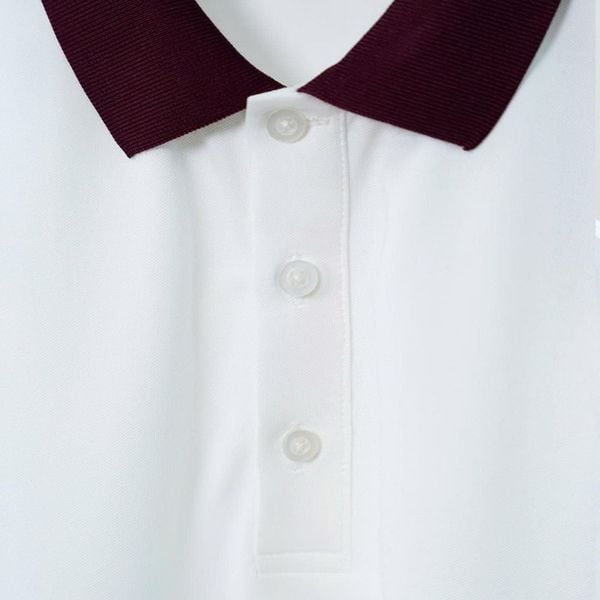 Chi tiết áo polo trắng đỏ big size nam AKYOO, thời trang cho người ngoại cỡ từ 80-140kg