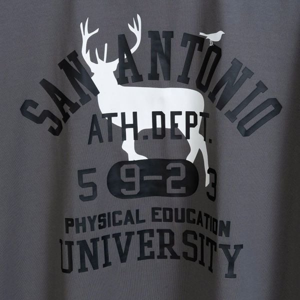 Mô tả chi tiết áo thun xám in big size nam AKYOO