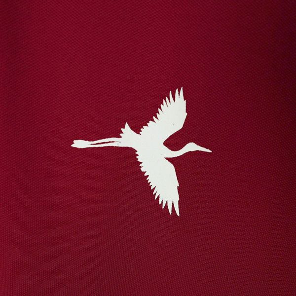 Chi tiết áo polo in big size nam AKYOO