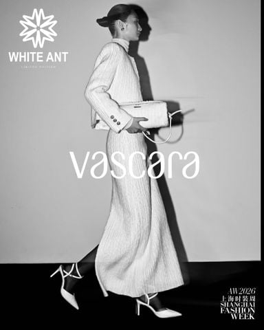 WHITE ANT I  A Note of Gratitude to VASCARA