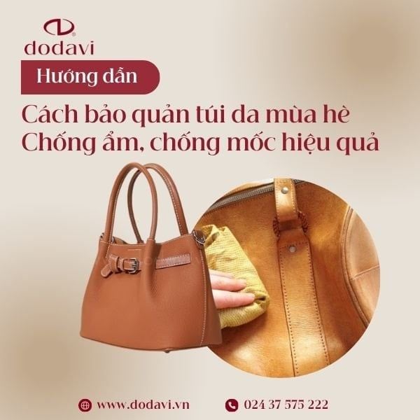 Cách bảo quản túi da mùa hè – Chống ẩm, chống mốc hiệu quả