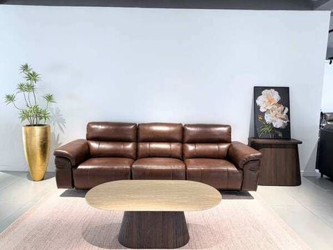 DERGO - Không gian Sống Khoẻ - 10+ Mẫu sofa phòng khách cao cấp nhập khẩu cho dịp Tết 2026