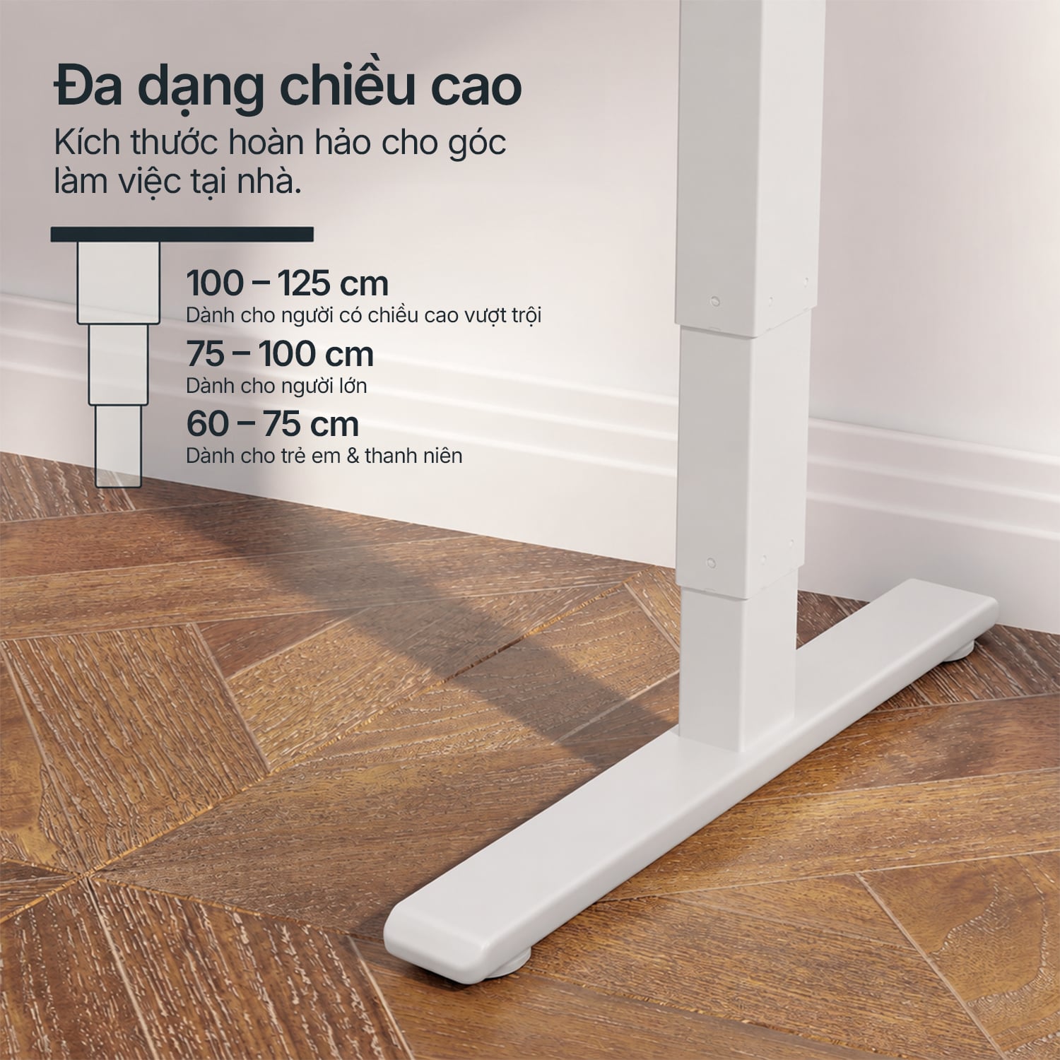 Hình ảnh sản phẩm