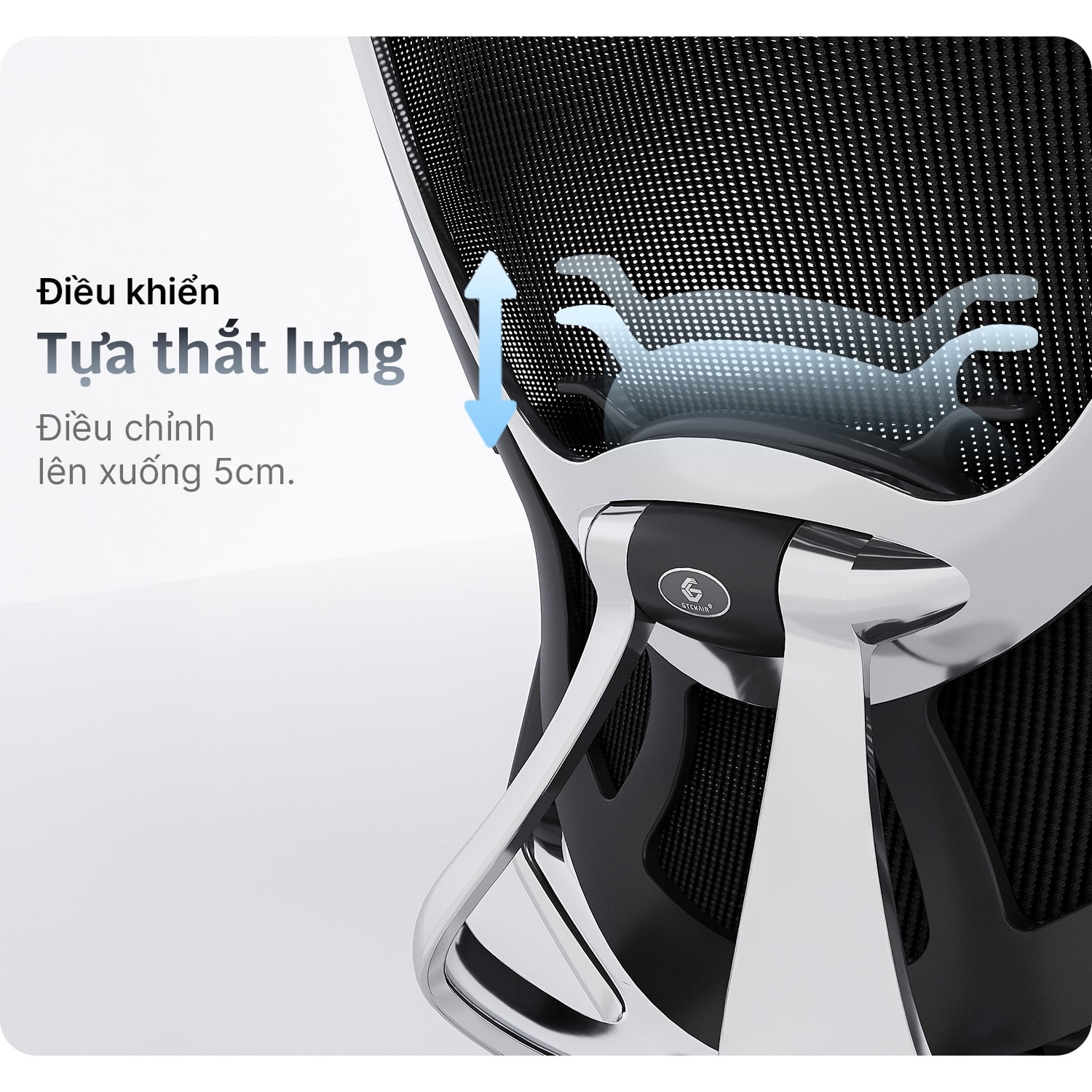 Hình ảnh sản phẩm