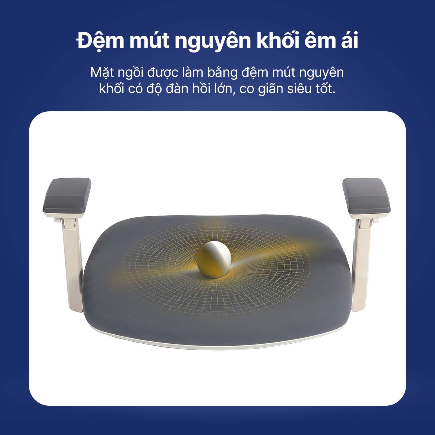 Hình ảnh sản phẩm