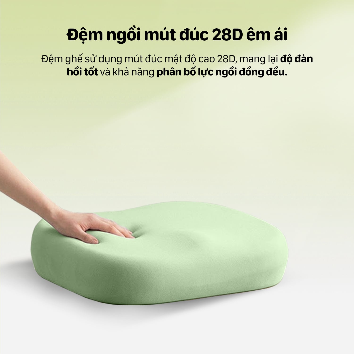 Hình ảnh sản phẩm