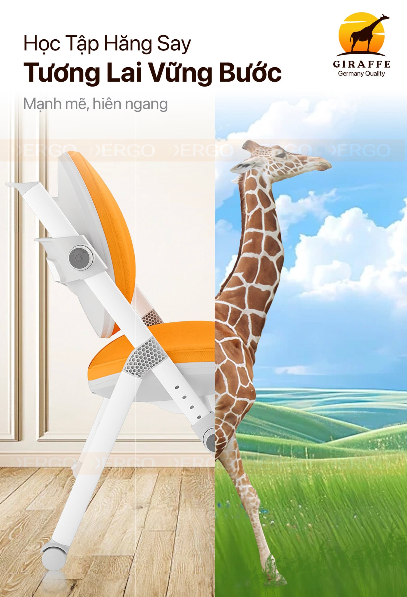 Hình ảnh sản phẩm