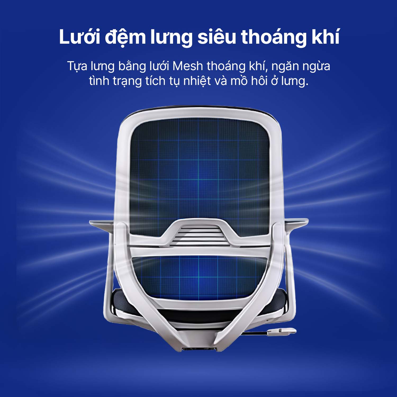 Hình ảnh sản phẩm