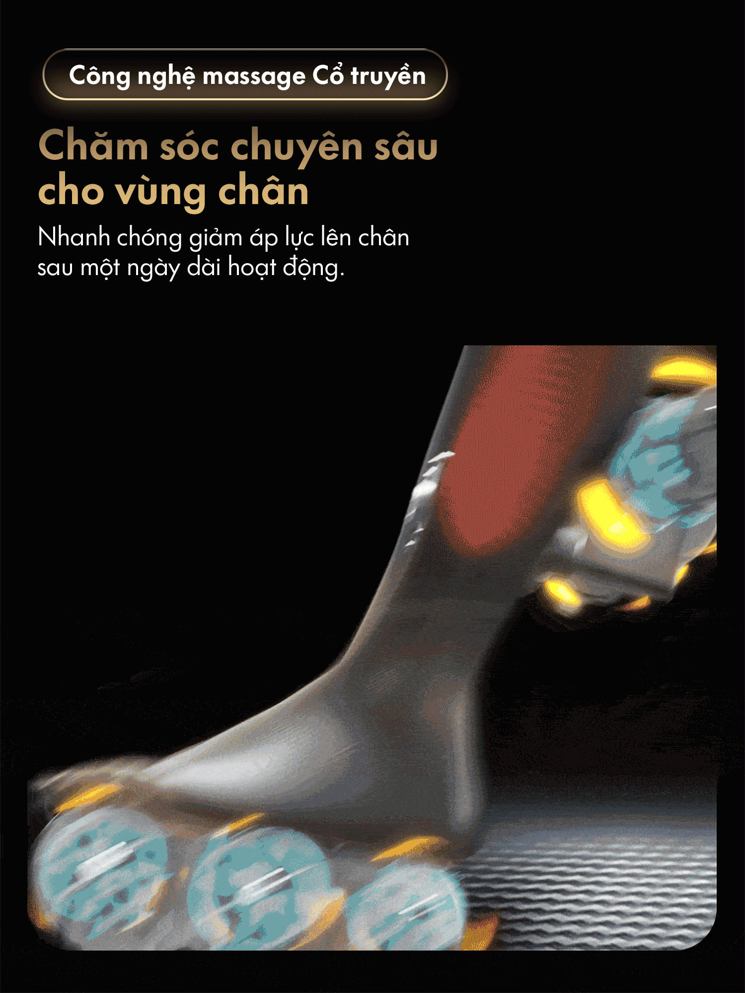 Hình ảnh sản phẩm