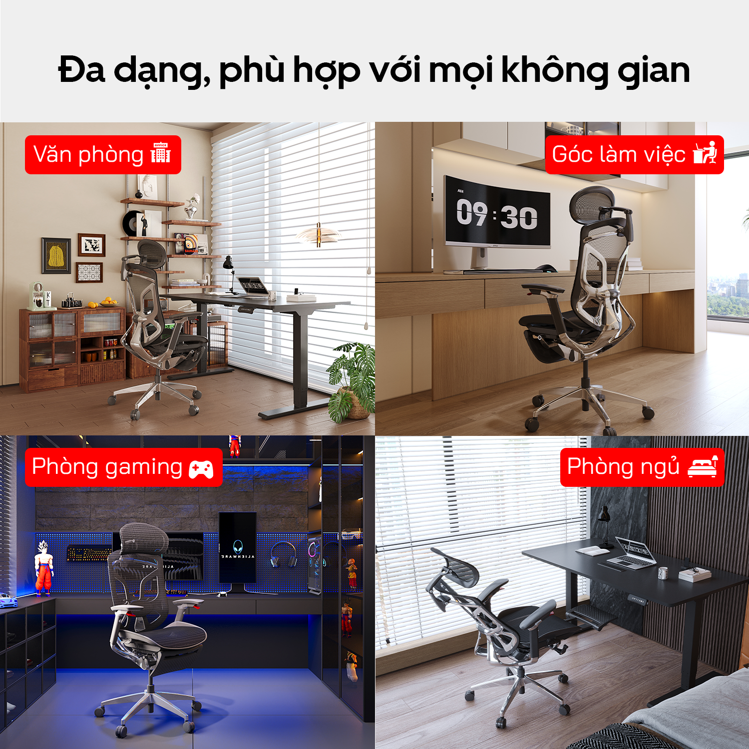 Hình ảnh sản phẩm