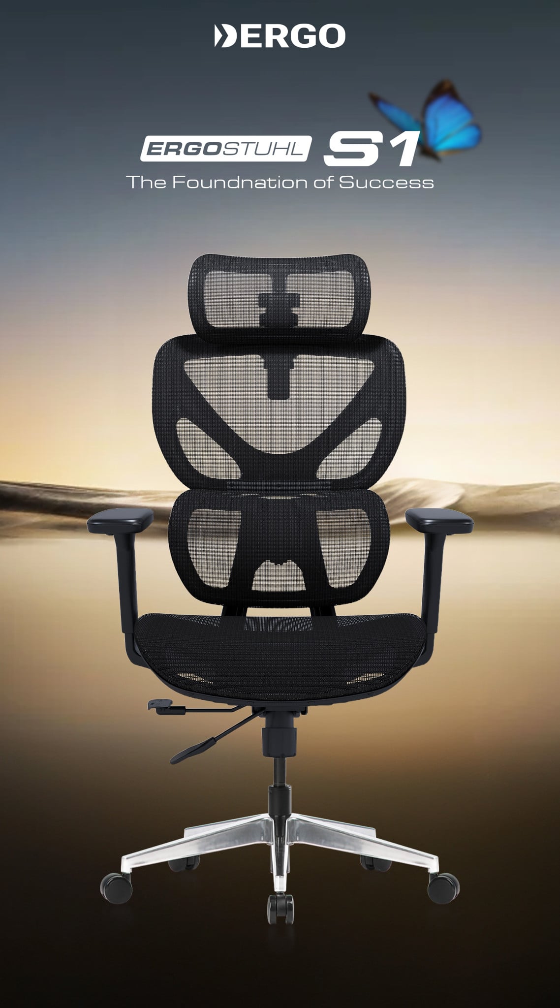 Hình ảnh sản phẩm