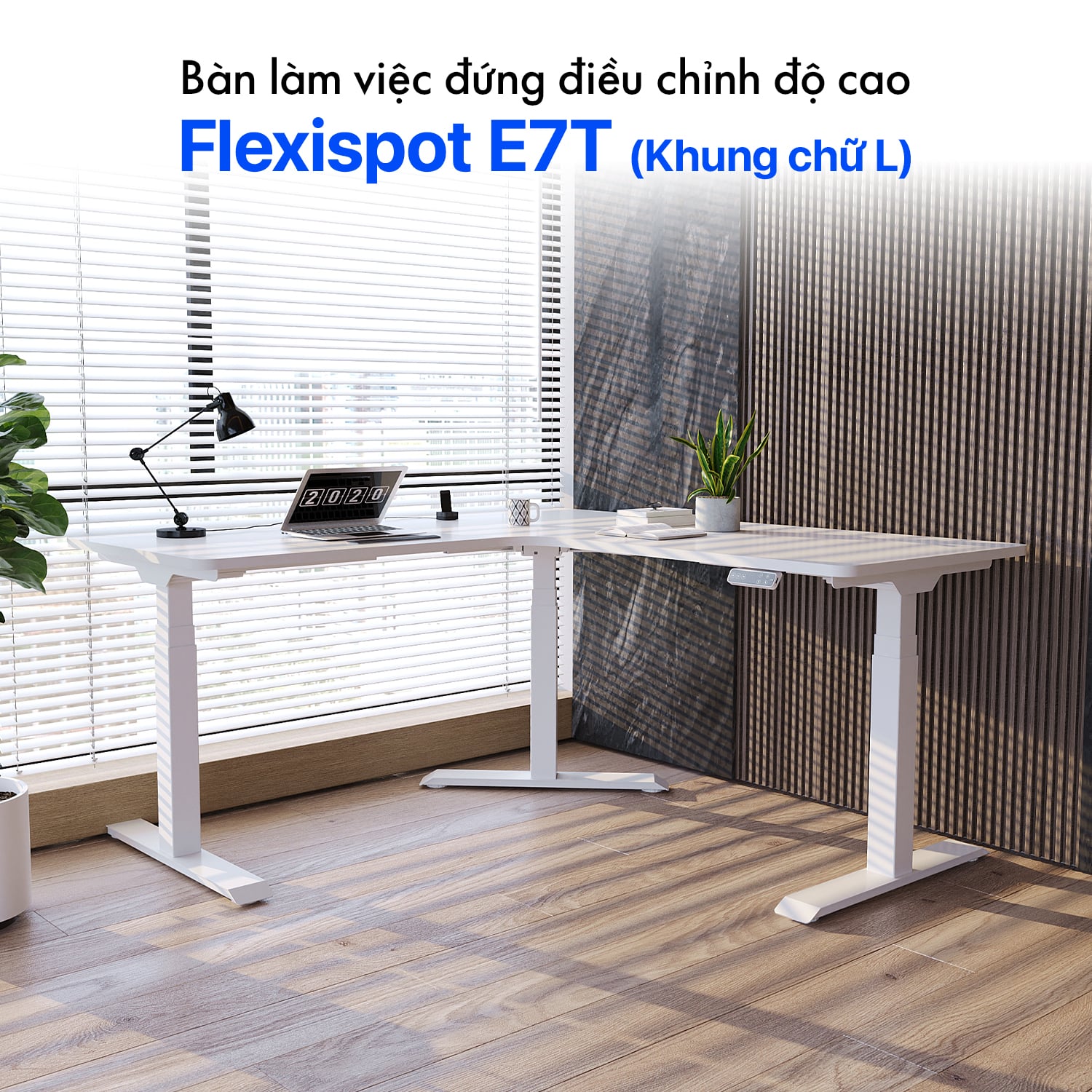 Hình ảnh sản phẩm