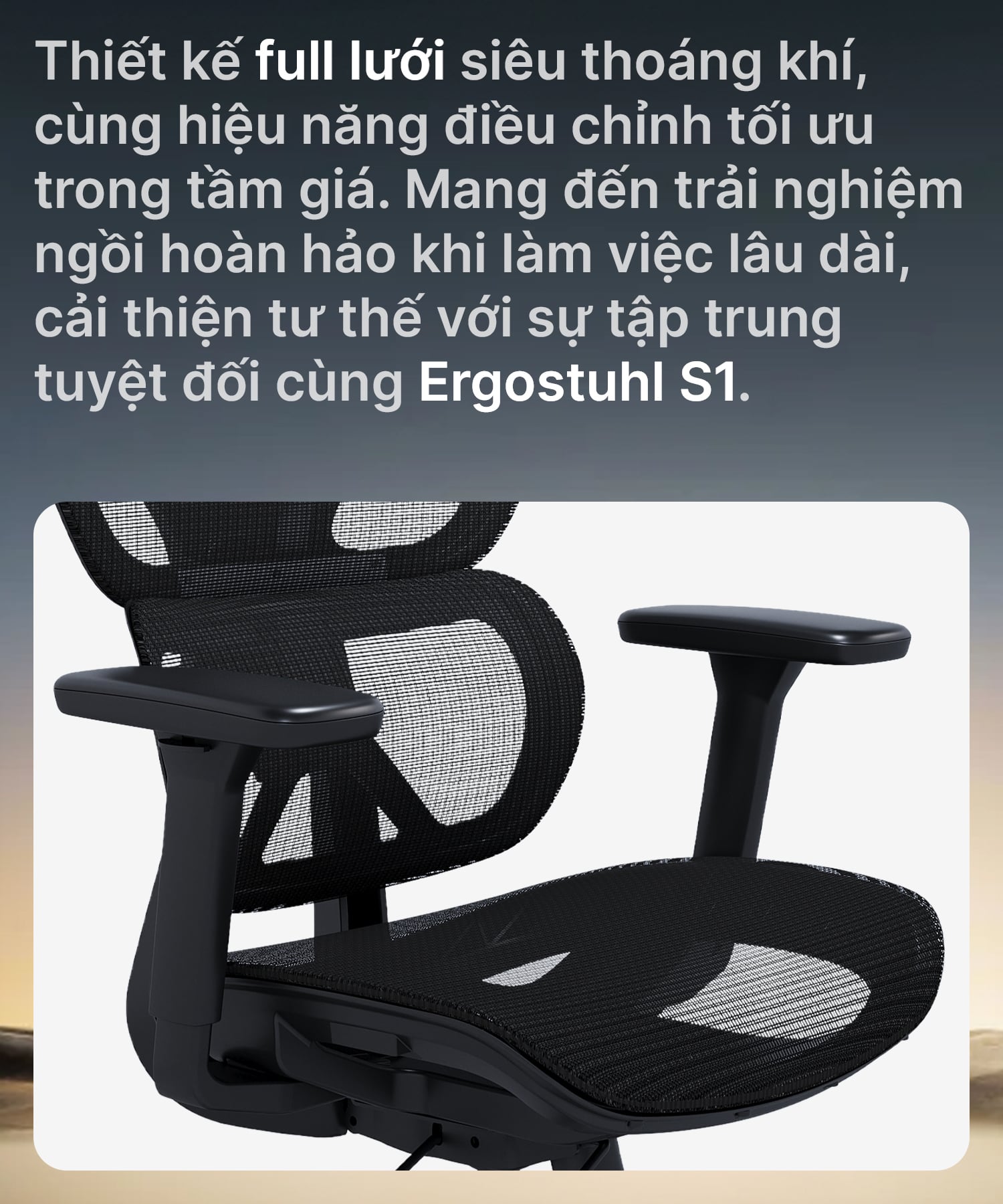 Hình ảnh sản phẩm