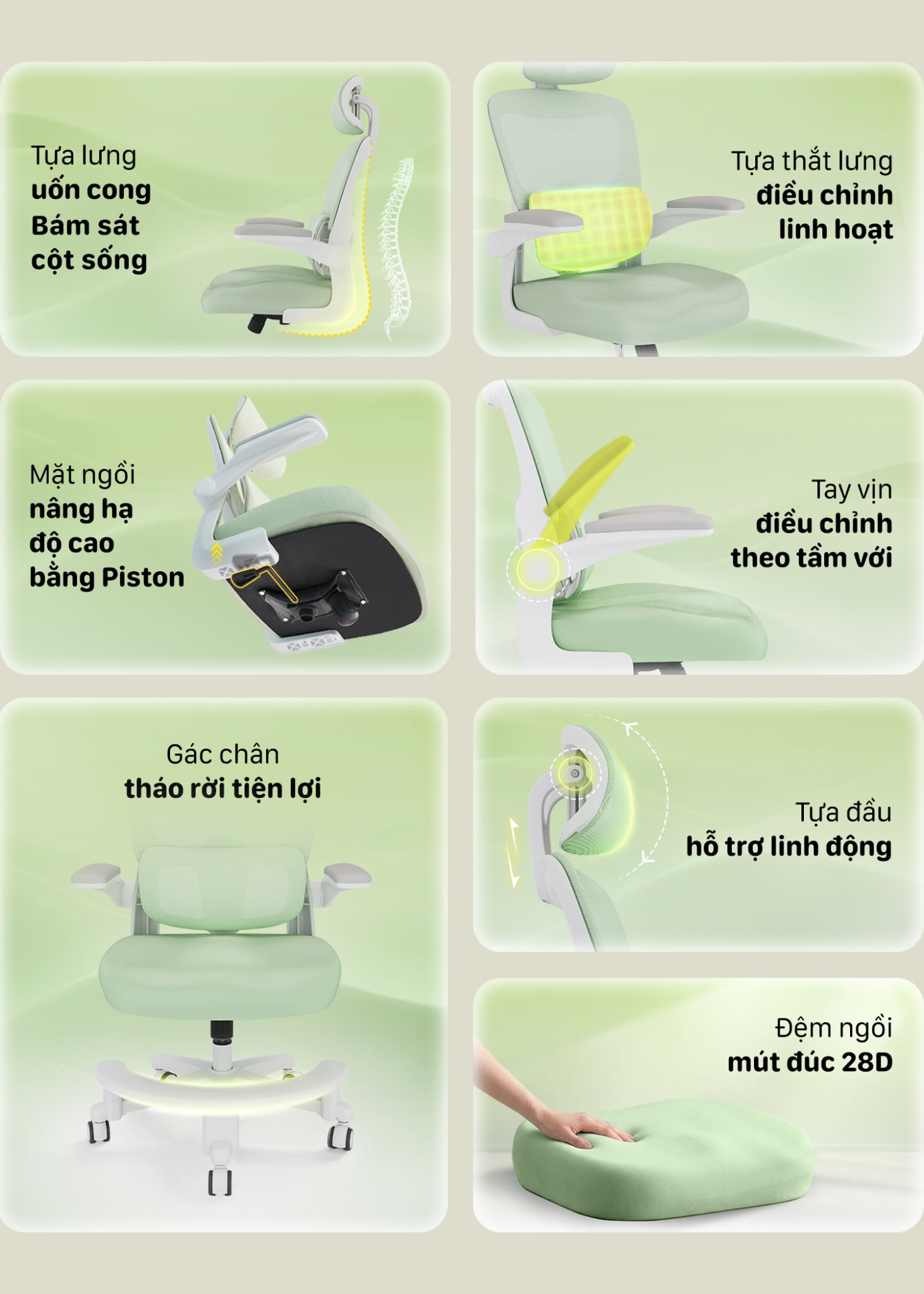 Hình ảnh sản phẩm