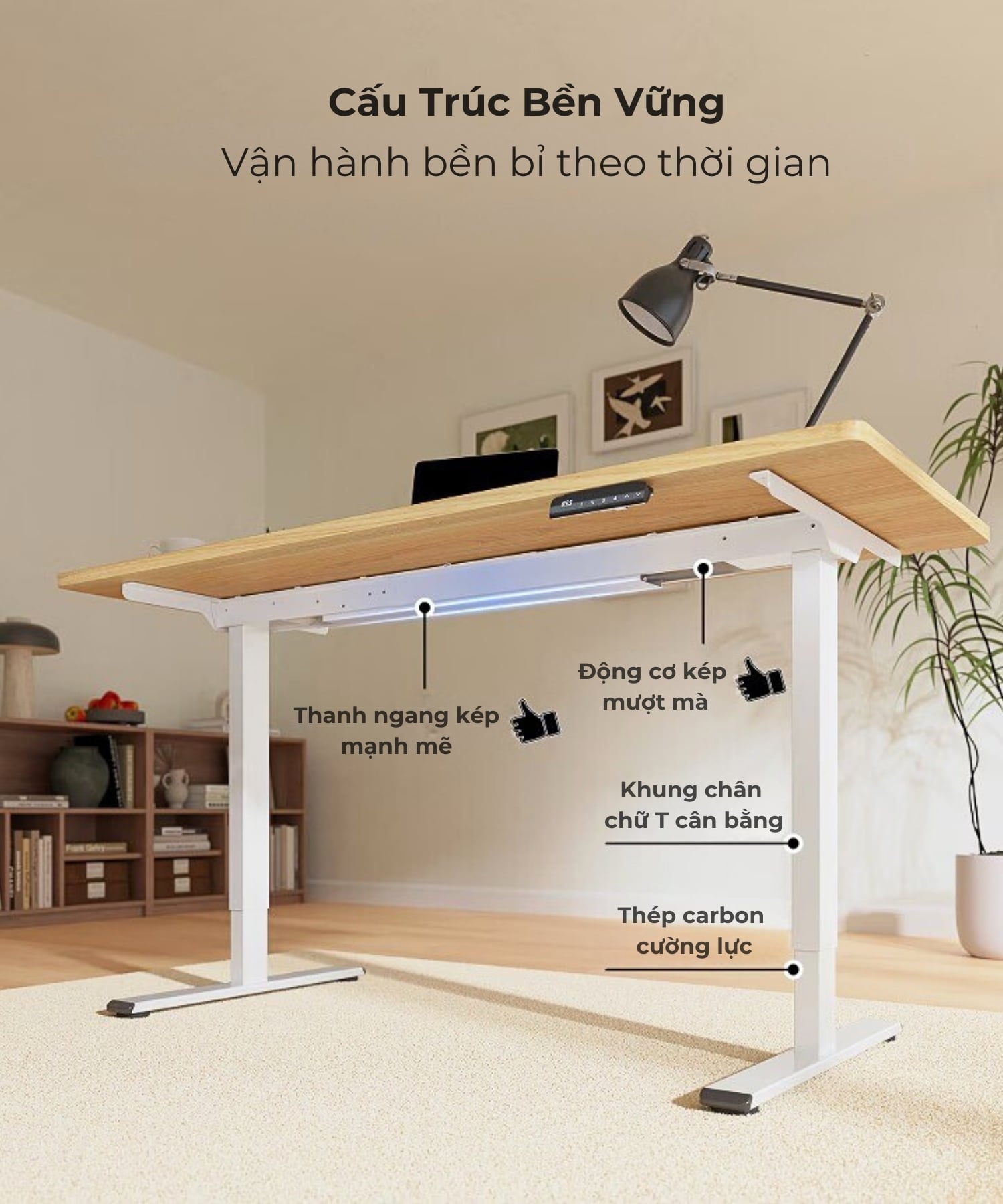 Hình ảnh sản phẩm