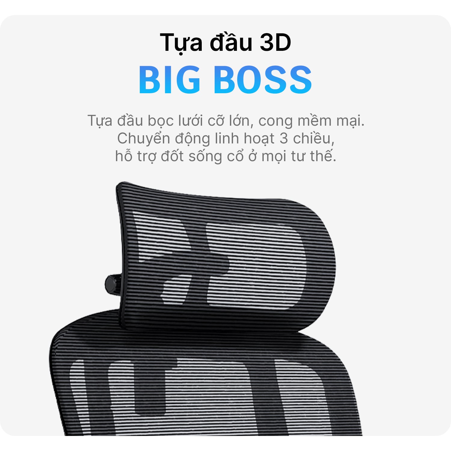 Hình ảnh sản phẩm