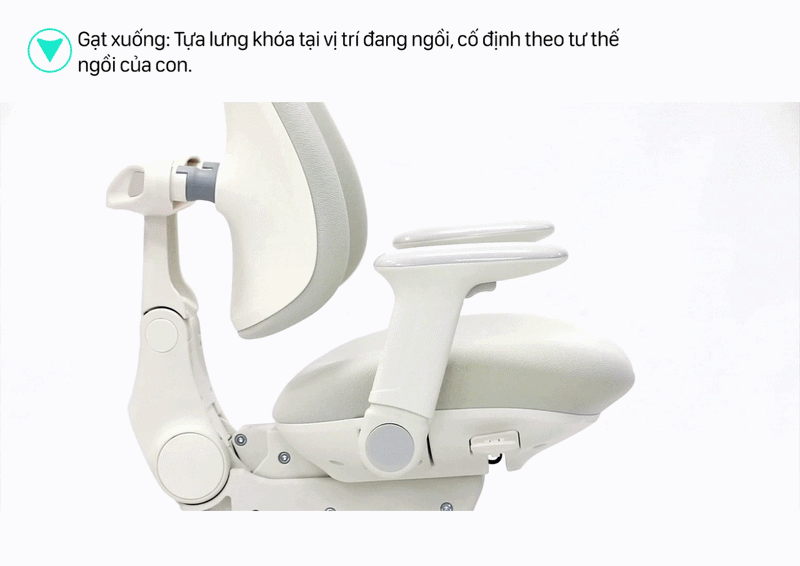 Hình ảnh sản phẩm