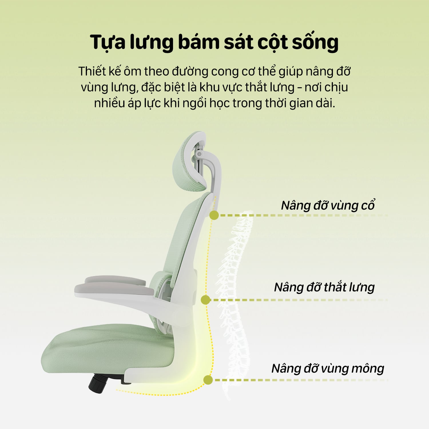 Hình ảnh sản phẩm