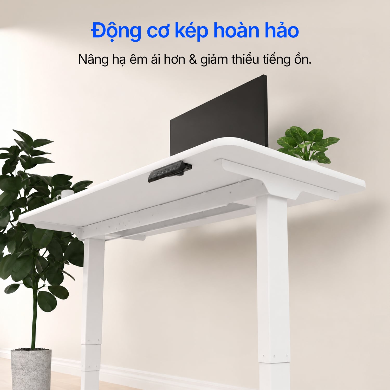Hình ảnh sản phẩm