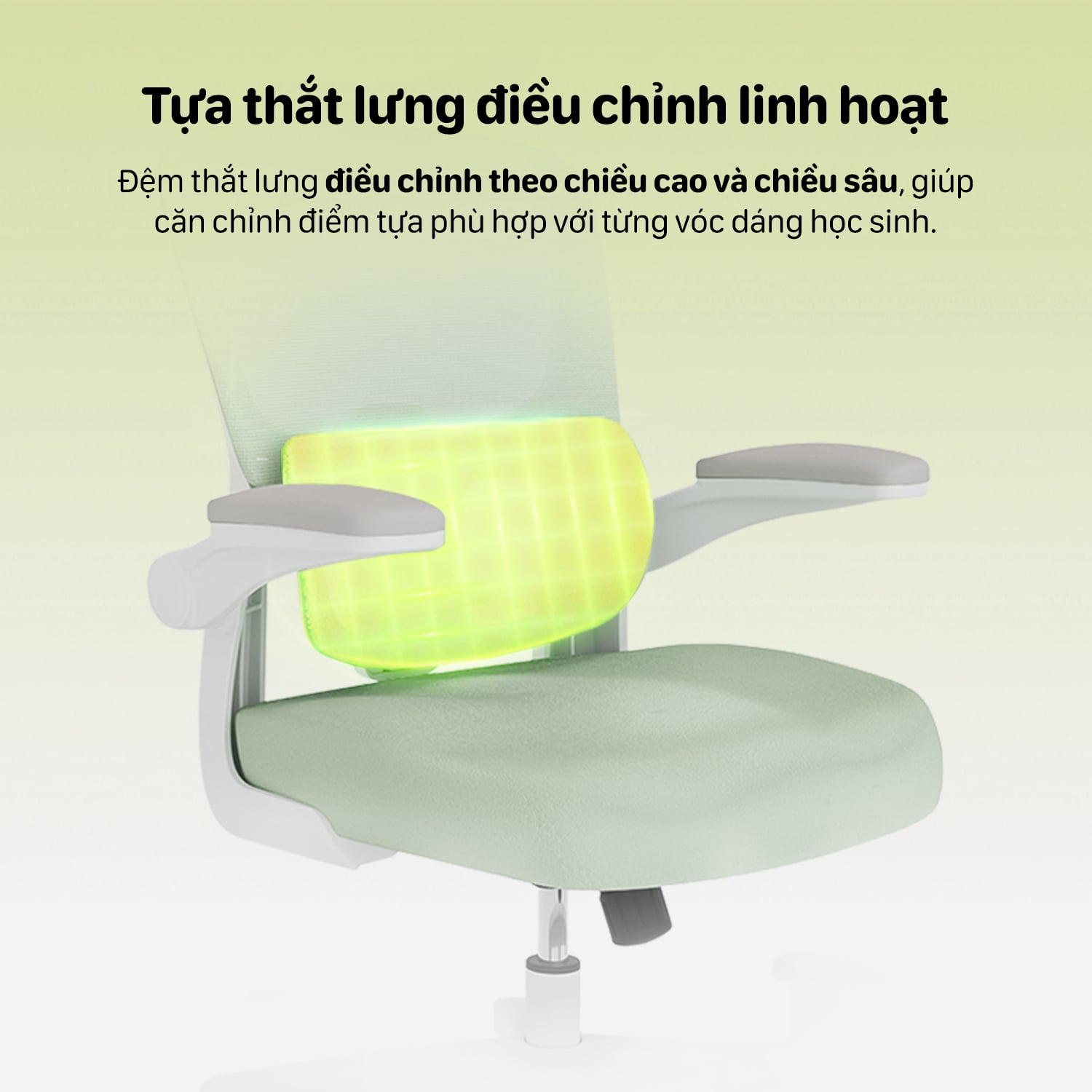 Hình ảnh sản phẩm