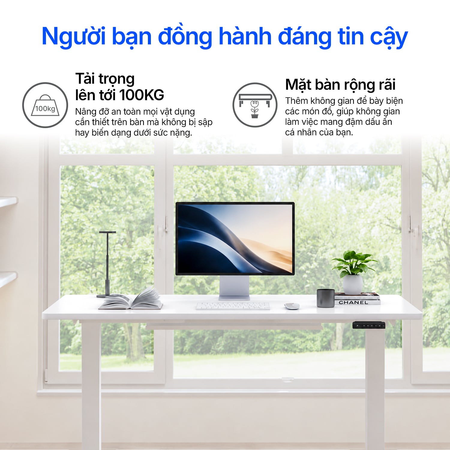 Hình ảnh sản phẩm