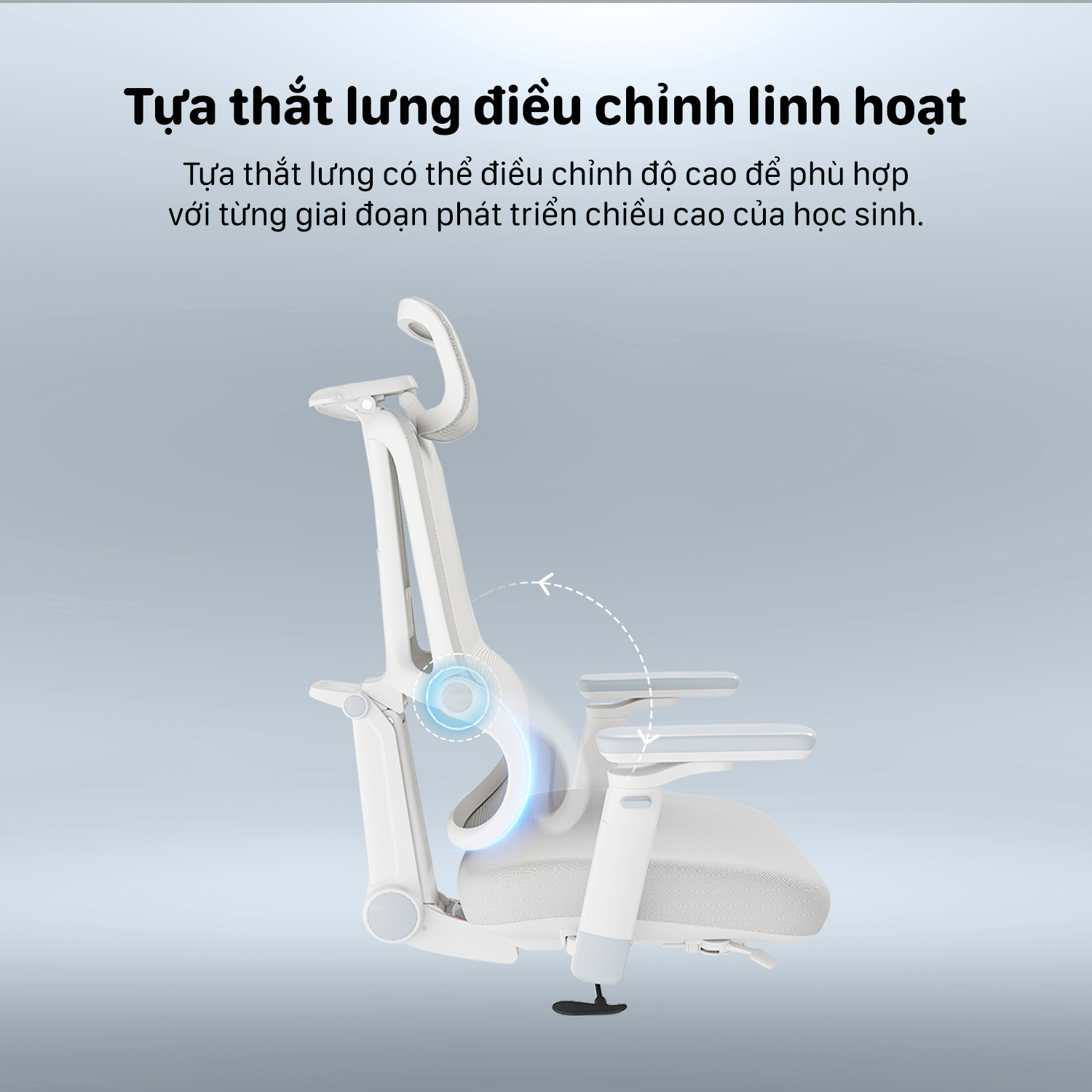 Hình ảnh sản phẩm