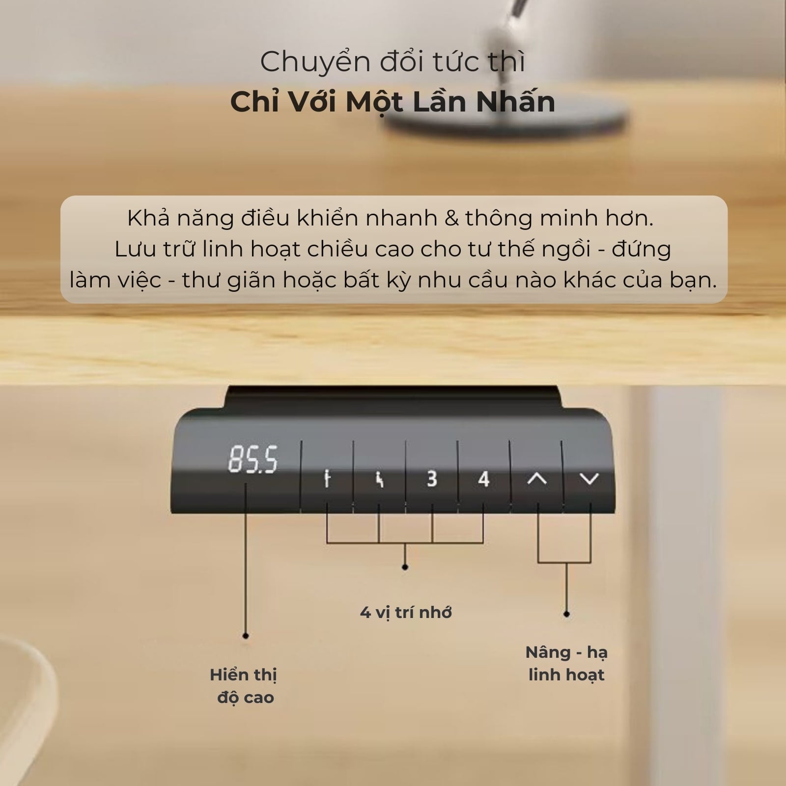 Hình ảnh sản phẩm