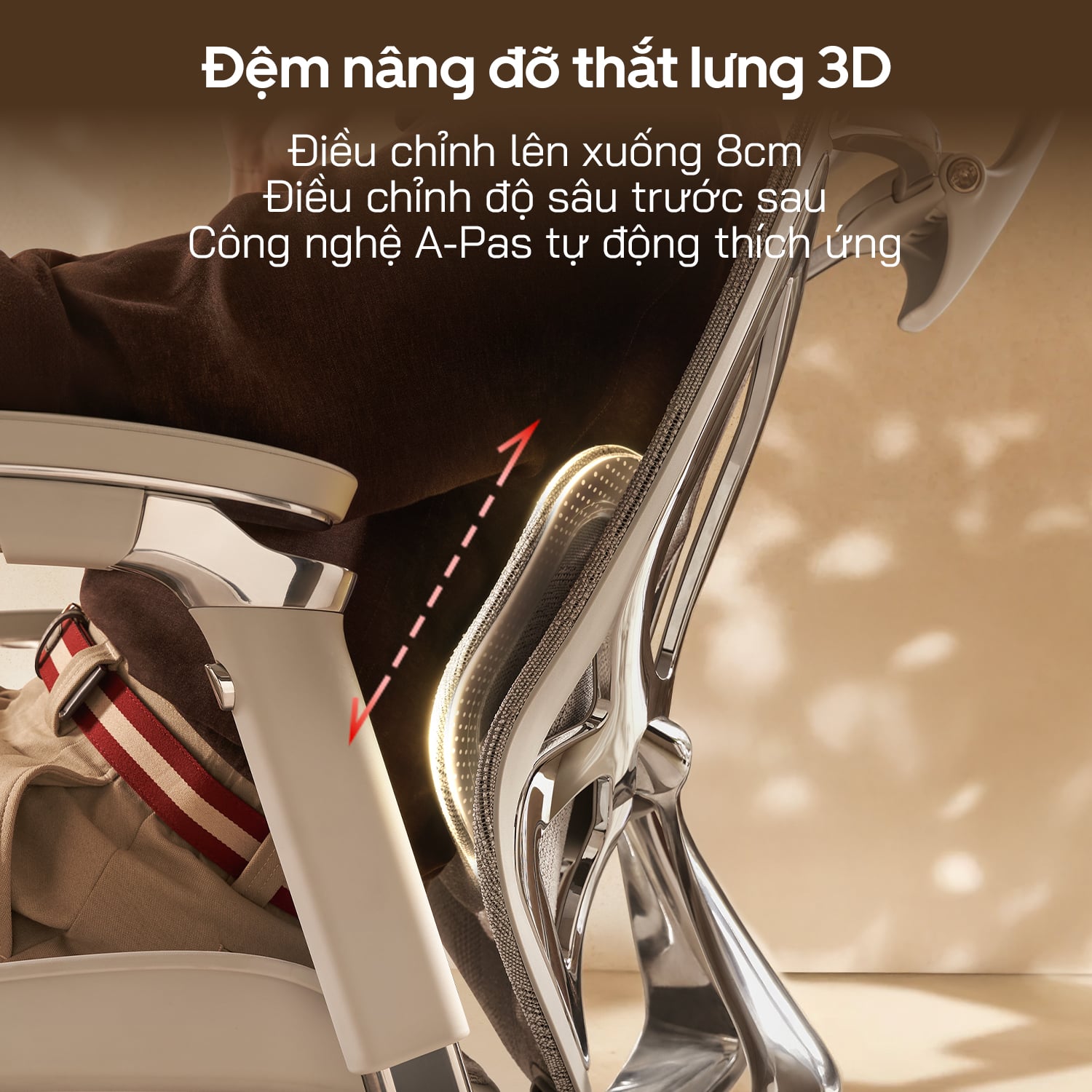 Hình ảnh sản phẩm