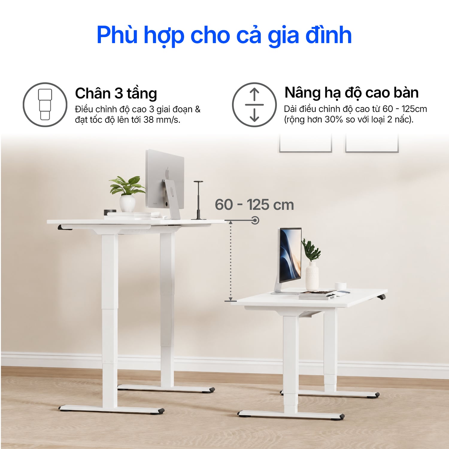 Hình ảnh sản phẩm