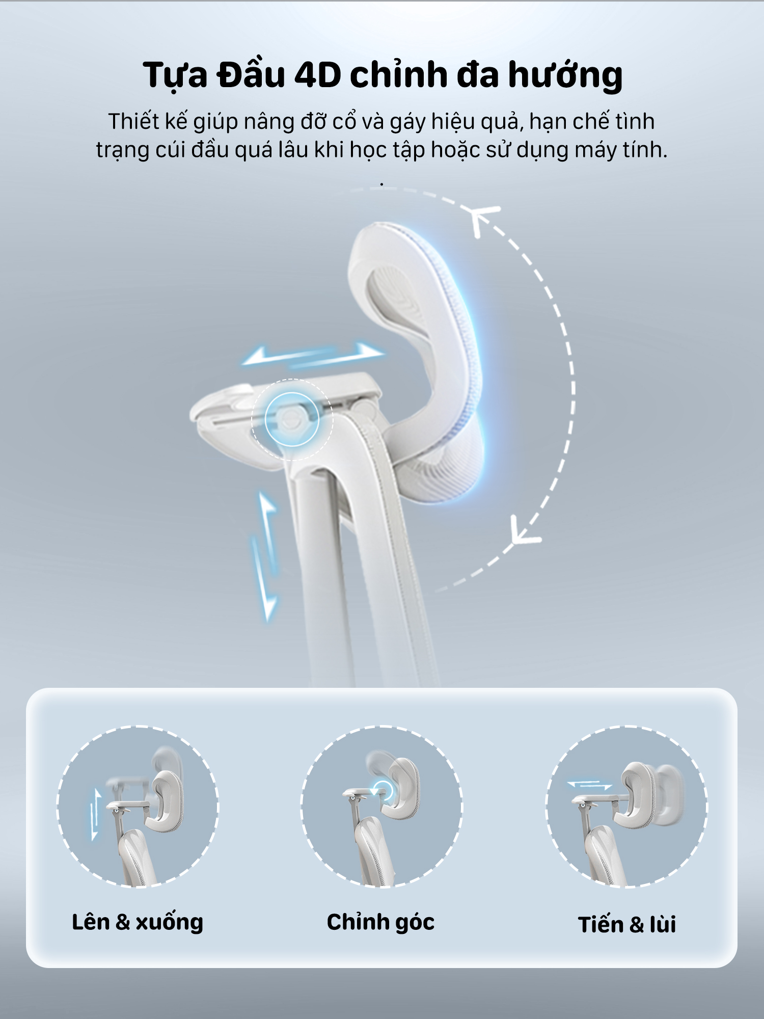 Hình ảnh sản phẩm