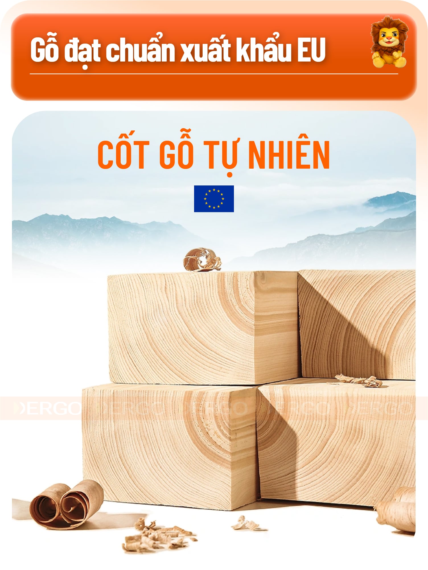 Hình ảnh sản phẩm