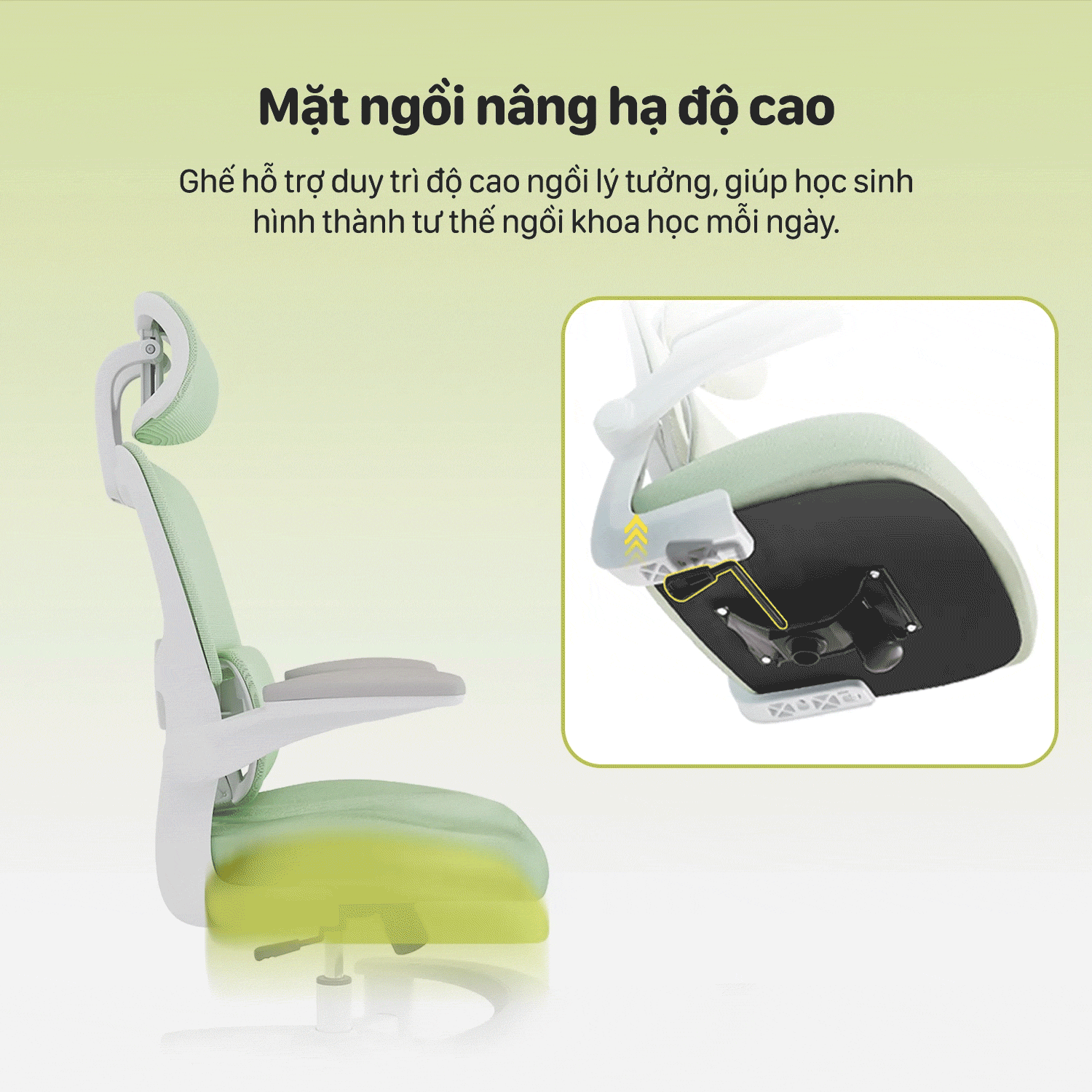 Hình ảnh sản phẩm