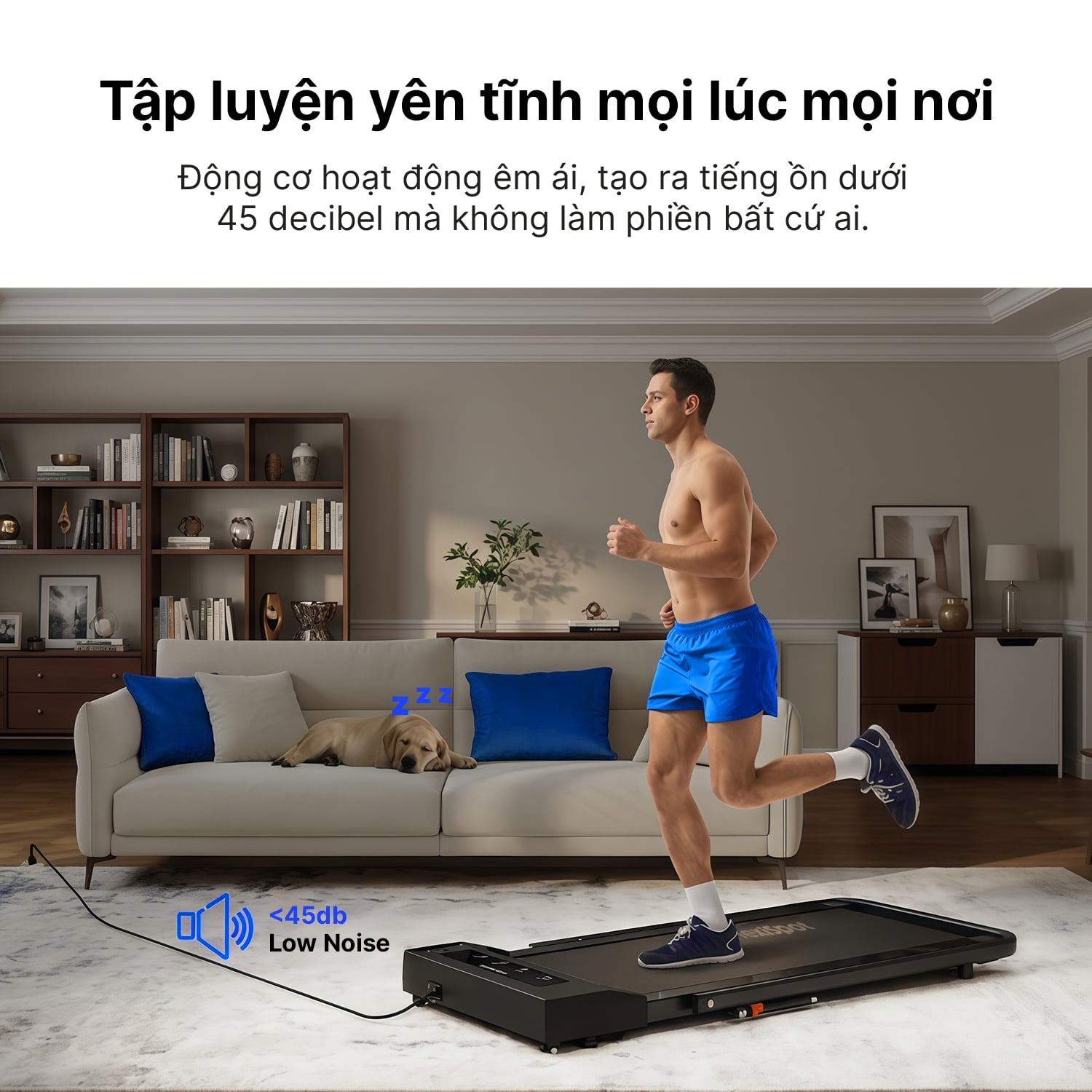 Hình ảnh sản phẩm