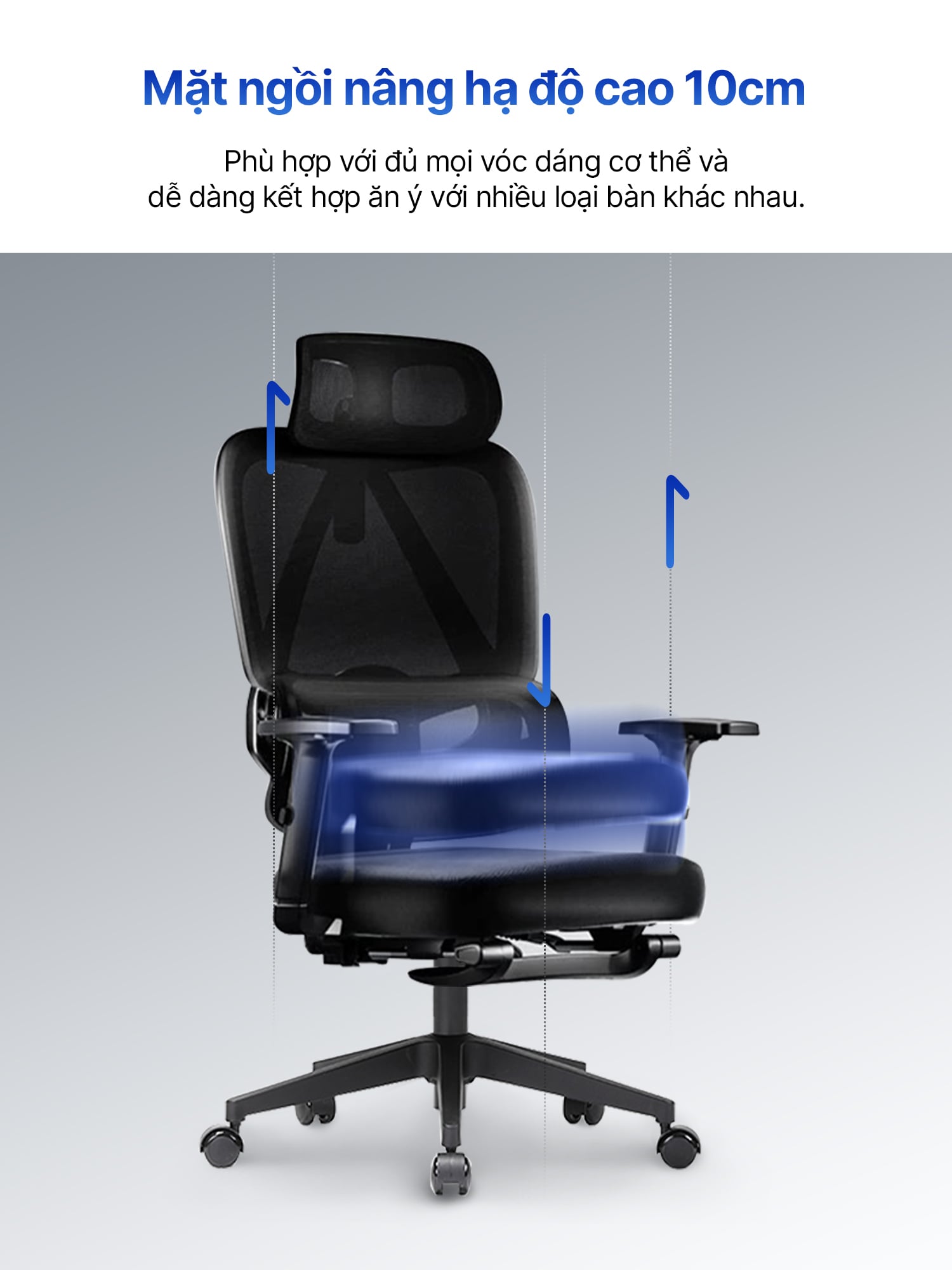 Hình ảnh sản phẩm