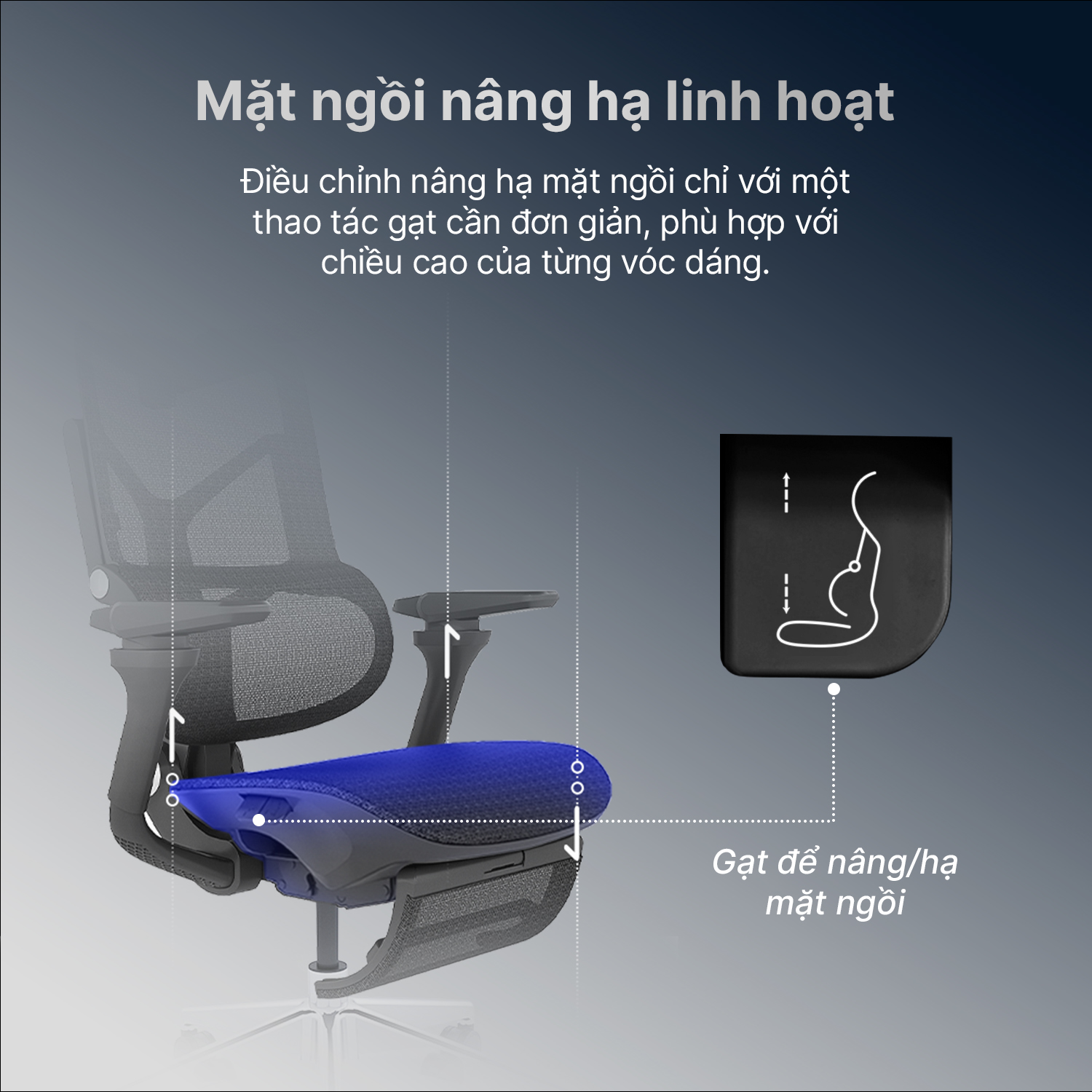 Hình ảnh sản phẩm