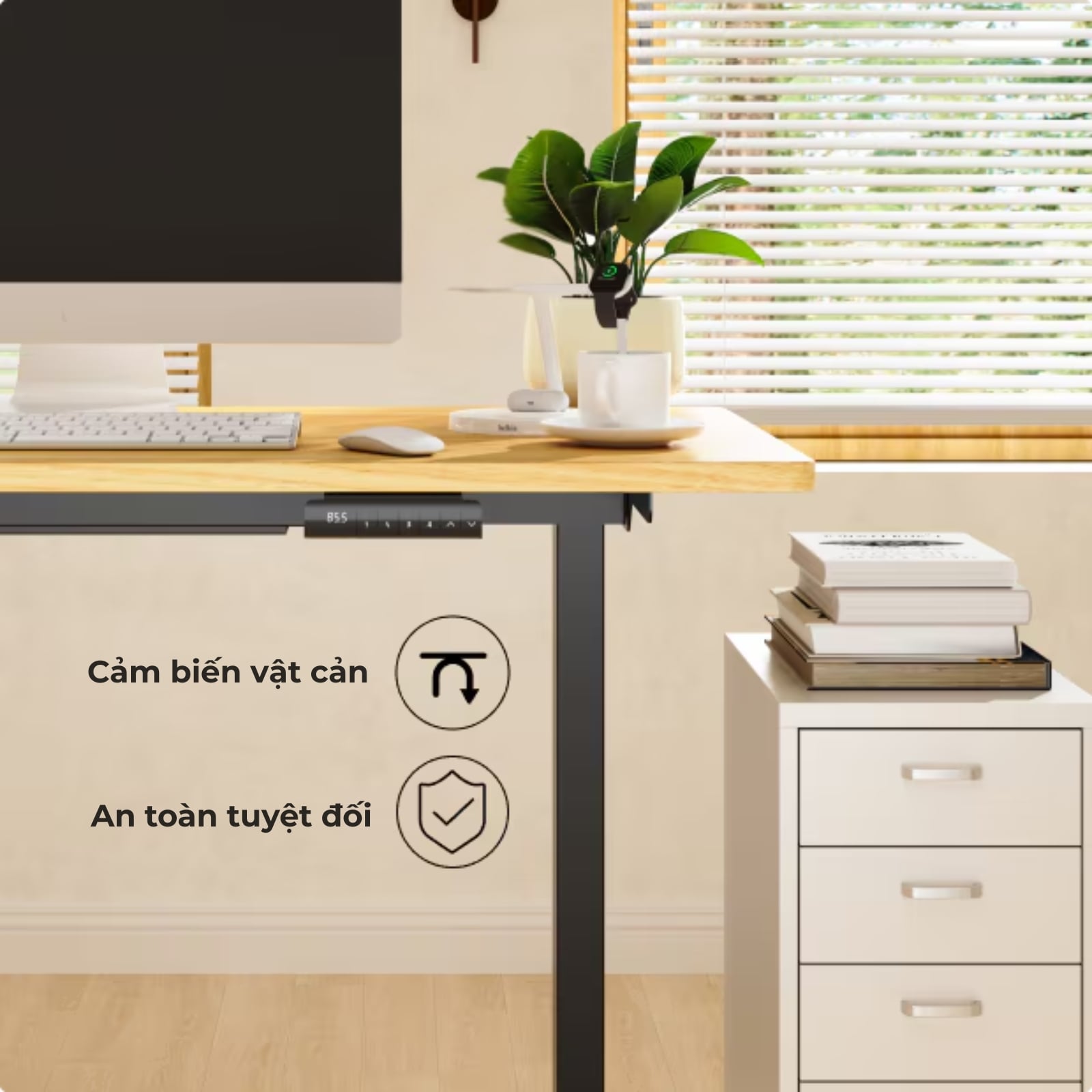 Hình ảnh sản phẩm