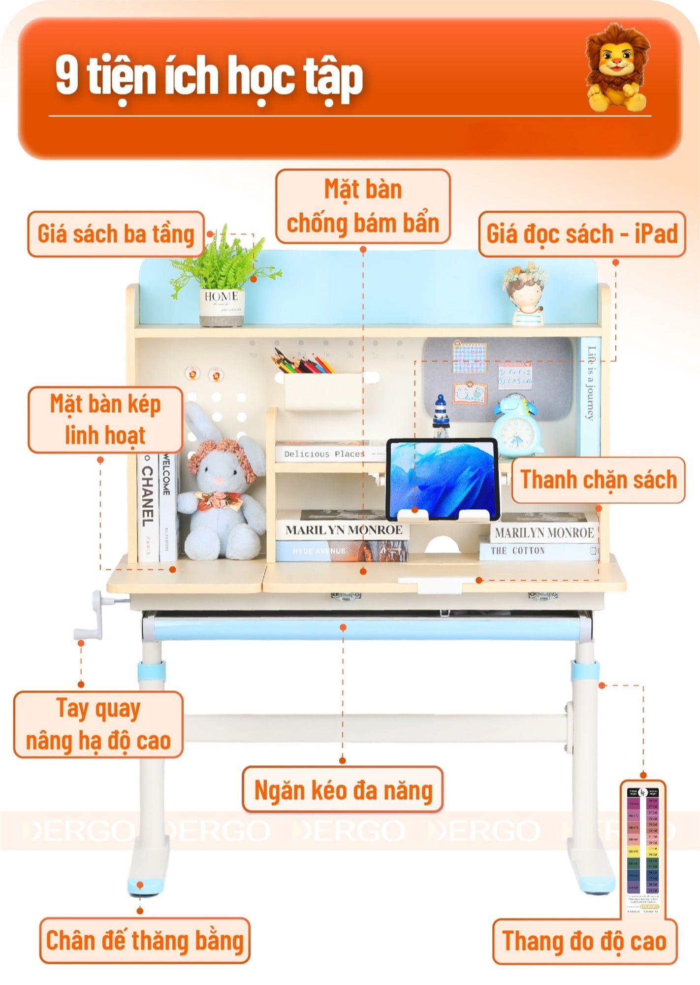 Hình ảnh sản phẩm