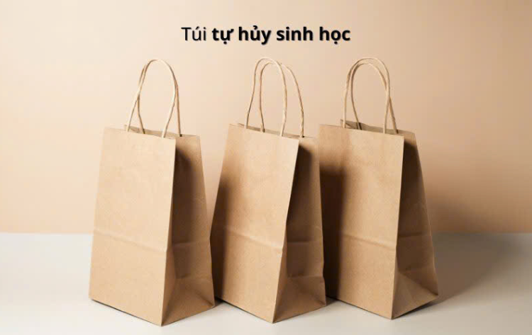 Sinh viên HPU phát triển dự án “Bao bì tái sinh – EcoPack”: Giải pháp bao bì xanh hướng tới tiêu dùng bền vững