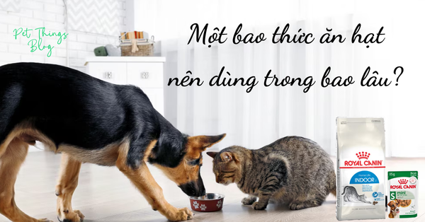 Một bao thức ăn hạt của Chó Mèo nên được sử dụng hết trong bao lâu?