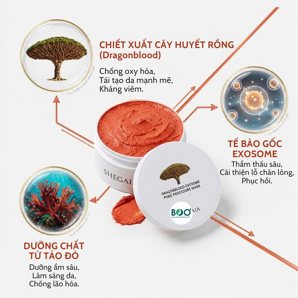 Công nghệ Exosome và chiết xuất quý hiếm trong Mặt nạ đất sét SHEGAIA
