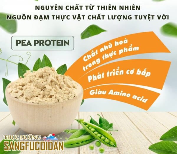 Công dụng tăng đề kháng phục hồi sức khỏe từ SangFucoidan