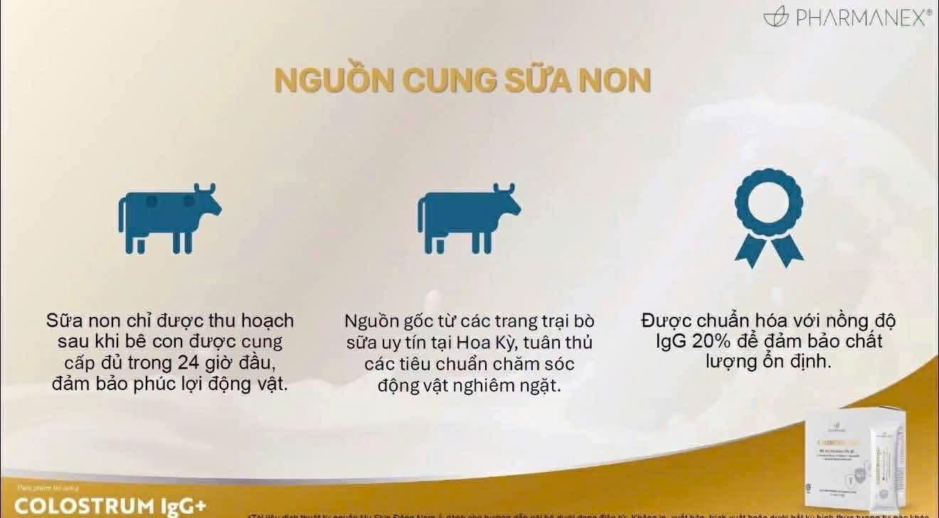 Nguồn cung sữa non chứa kháng thể quan trọng IgG